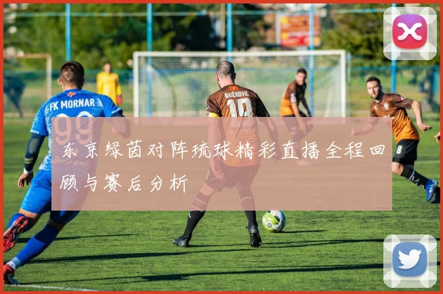 东京绿茵对阵琉球精彩直播全程回顾与赛后分析