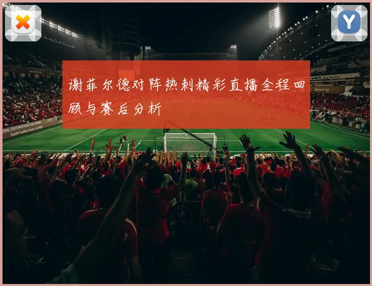 谢菲尔德对阵热刺精彩直播全程回顾与赛后分析