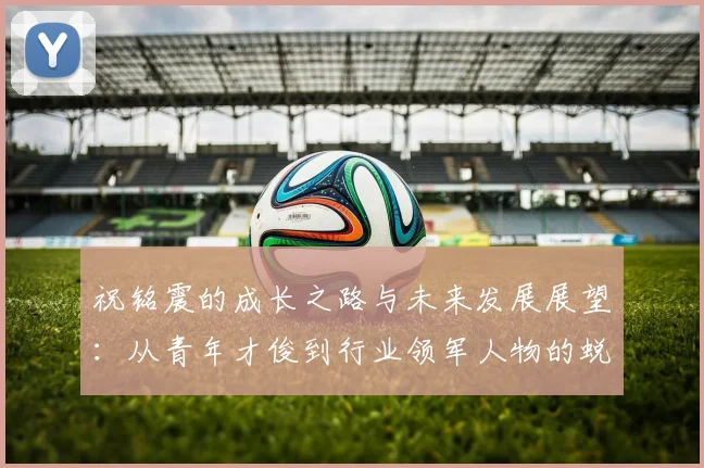 祝铭震的成长之路与未来发展展望：从青年才俊到行业领军人物的蜕变