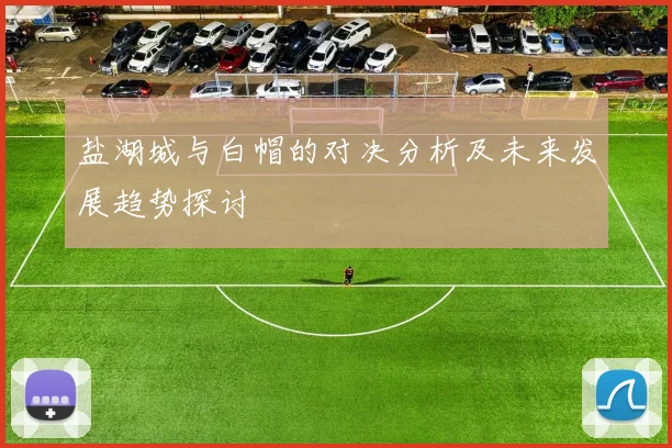 盐湖城与白帽的对决分析及未来发展趋势探讨